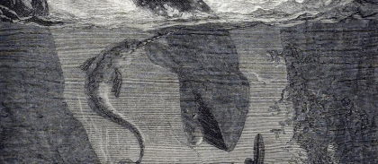 expotion-imaginaire-mediatheque-jules-verne-alphonse-de-neuville---vingt-mille-lieues-sous-les-mers---comp.png